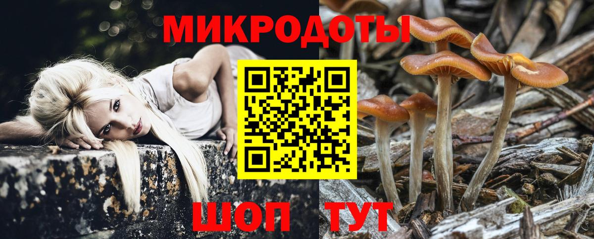 Псилоцибиновые грибы прущие грибы Среднеуральск