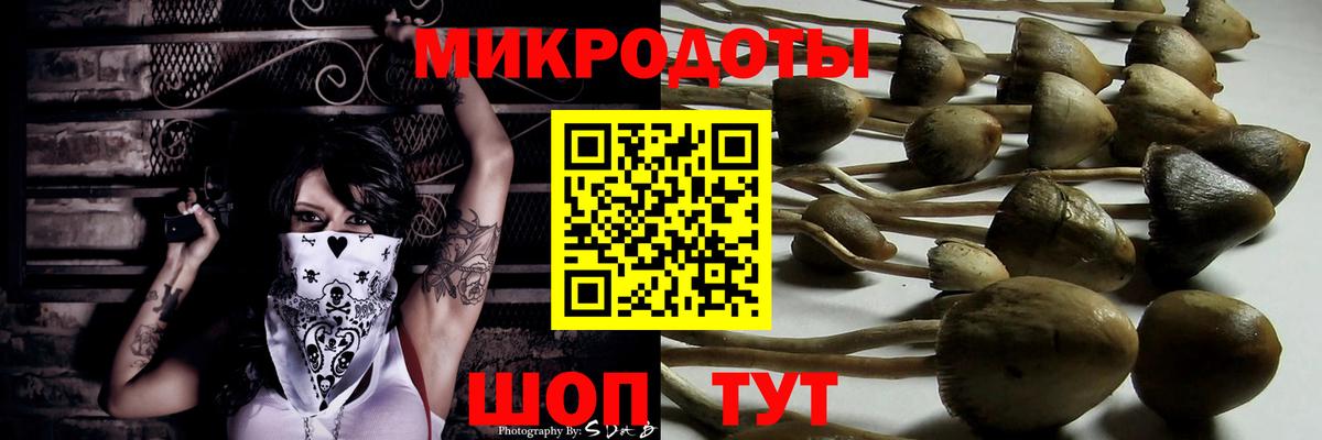 Среднеуральск  Псилоцибиновые грибы MAGIC MUSHROOMS  Вход с VPN 